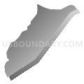 Census Tract 507, Rowan County, North Carolina (Gray Gradient Fill with Shadow)