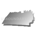 Census Tract 118.02, Catawba County, North Carolina (Gray Gradient Fill with Shadow)