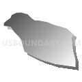 Census Tract 110, Catawba County, North Carolina (Gray Gradient Fill with Shadow)