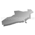 Census Tract 205.11, Brunswick County, North Carolina (Gray Gradient Fill with Shadow)