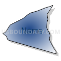 Census Tract 206.03, Brunswick County, North Carolina (Radial Fill with Shadow)