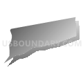 Census Tract 205.08, Brunswick County, North Carolina (Gray Gradient Fill with Shadow)