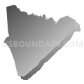 Census Tract 203.06, Brunswick County, North Carolina (Gray Gradient Fill with Shadow)