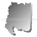 Census Tract 310, Randolph County, North Carolina (Gray Gradient Fill with Shadow)