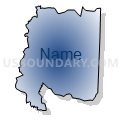 Census Tract 310, Randolph County, North Carolina (Radial Fill with Shadow)