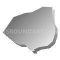 Census Tract 315.03, Randolph County, North Carolina (Gray Gradient Fill with Shadow)
