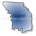 Census Tract 313.05, Randolph County, North Carolina (Radial Fill with Shadow)