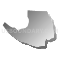 Census Tract 315.04, Randolph County, North Carolina (Gray Gradient Fill with Shadow)