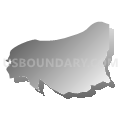 Census Tract 9501, Washington County, North Carolina (Gray Gradient Fill with Shadow)
