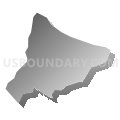 Census Tract 32.01, Buncombe County, North Carolina (Gray Gradient Fill with Shadow)