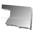 Census Tract 309, Warren County, Ohio (Gray Gradient Fill with Shadow)