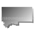Census Tract 11, Washington County, Oklahoma (Gray Gradient Fill with Shadow)