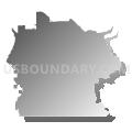 Census Tract 9800, Clackamas County, Oregon (Gray Gradient Fill with Shadow)