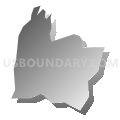Census Tract 204.03, Clackamas County, Oregon (Gray Gradient Fill with Shadow)