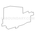 Census Tract 903, Union County, Pennsylvania (Light Gray Border)