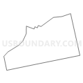 Census Tract 2173, Luzerne County, Pennsylvania (Light Gray Border)