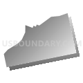 Census Tract 2173, Luzerne County, Pennsylvania (Gray Gradient Fill with Shadow)