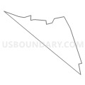 Census Tract 9, Anderson County, South Carolina (Light Gray Border)