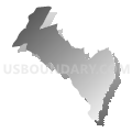 Census Tract 116, Orangeburg County, South Carolina (Gray Gradient Fill with Shadow)