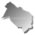 Census Tract 115, Orangeburg County, South Carolina (Gray Gradient Fill with Shadow)
