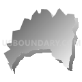 Census Tract 108, Darlington County, South Carolina (Gray Gradient Fill with Shadow)