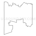 Census Tract 9505, McCulloch County, Texas (Light Gray Border)