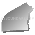Census Tract 1.06, El Paso County, Texas (Gray Gradient Fill with Shadow)
