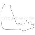 Census Tract 205.08, Williamson County, Texas (Light Gray Border)