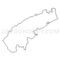 Census Tract 303, Roanoke County, Virginia (Light Gray Border)