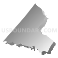 Census Tract 204.05, Spotsylvania County, Virginia (Gray Gradient Fill with Shadow)
