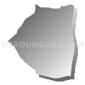 Census Tract 203.06, Spotsylvania County, Virginia (Gray Gradient Fill with Shadow)