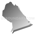 Census Tract 203.08, Spotsylvania County, Virginia (Gray Gradient Fill with Shadow)