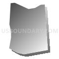 Census Tract 202.04, Spotsylvania County, Virginia (Gray Gradient Fill with Shadow)