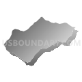 Census Tract 204.06, Spotsylvania County, Virginia (Gray Gradient Fill with Shadow)