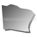 Census Tract 202.03, Spotsylvania County, Virginia (Gray Gradient Fill with Shadow)