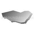 Census Tract 201.11, Spotsylvania County, Virginia (Gray Gradient Fill with Shadow)