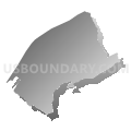 Census Tract 404.01, Botetourt County, Virginia (Gray Gradient Fill with Shadow)