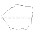 Census Tract 206, Montgomery County, Virginia (Light Gray Border)