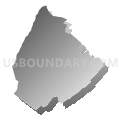 Census Tract 9303, Rockbridge County, Virginia (Gray Gradient Fill with Shadow)