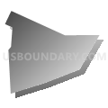 Census Tract 1006, Arlington County, Virginia (Gray Gradient Fill with Shadow)