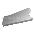 Census Tract 651, Suffolk city, Virginia (Gray Gradient Fill with Shadow)