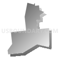 Census Tract 1, Staunton city, Virginia (Gray Gradient Fill with Shadow)