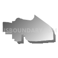 Census Tract 9604, San Juan County, Washington (Gray Gradient Fill with Shadow)