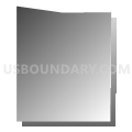 Census Tract 119, Spokane County, Washington (Gray Gradient Fill with Shadow)