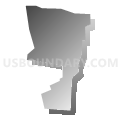 Census Tract 1001.01, Canóvanas Municipio, Puerto Rico (Gray Gradient Fill with Shadow)