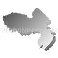 Census Tract 2501, Aibonito Municipio, Puerto Rico (Gray Gradient Fill with Shadow)