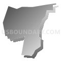 Census Tract 313.06, Bayamón Municipio, Puerto Rico (Gray Gradient Fill with Shadow)