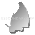 Census Tract 9573, Utuado Municipio, Puerto Rico (Gray Gradient Fill with Shadow)