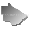 Bacon County School District, Georgia (Gray Gradient Fill with Shadow)