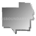 Turner County School District, Georgia (Gray Gradient Fill with Shadow)